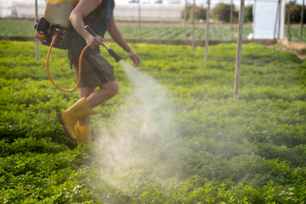 Pest Control Cost in Chatfield, MN