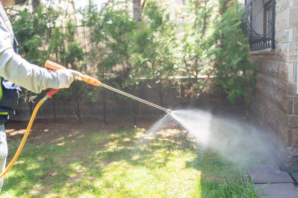 Trusted Chatfield, MN Pest Control Experts