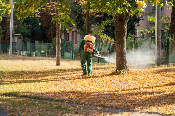 Best Residential Pest Control  in Chatfield, MN