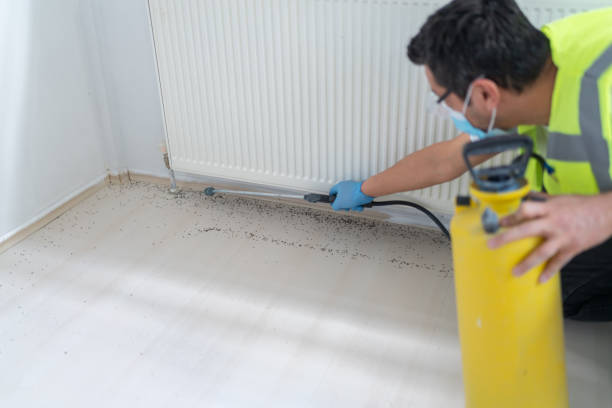 Best Best Pest Control Companies  in Chatfield, MN