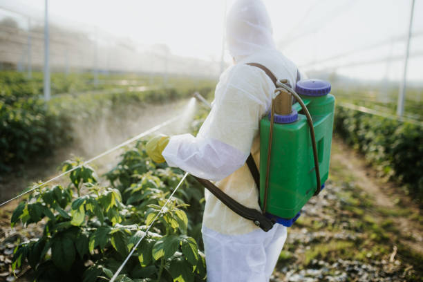 Trusted Chatfield, MN Pest Control Experts